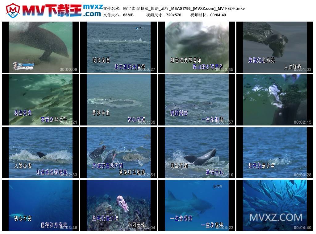 陈宝钦-梦桃源_国语_流行_MEA01796